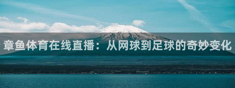 章鱼体育在线直播：从网球到足球的奇妙变化