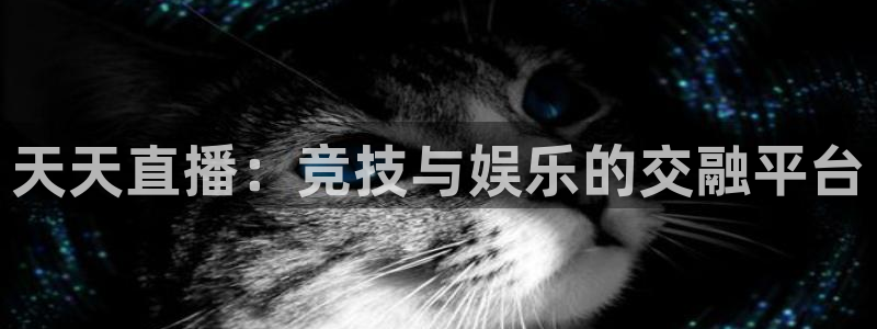 天天直播：竞技与娱乐的交融平台