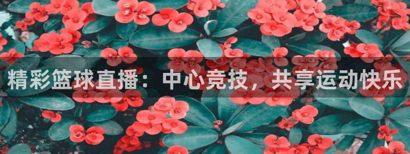 精彩篮球直播：中心竞技，共享运动快乐