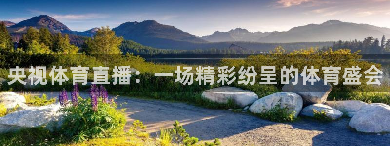 央视体育直播：一场精彩纷呈的体育盛会