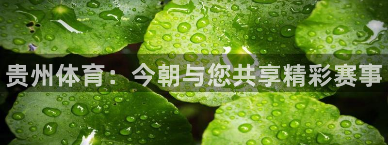 贵州体育：今朝与您共享精彩赛事