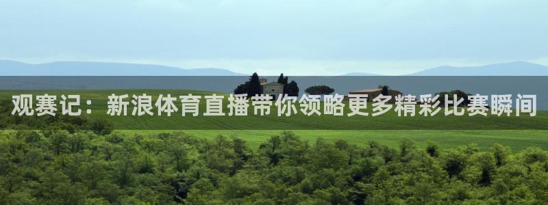 观赛记：新浪体育直播带你领略更多精彩比赛瞬间