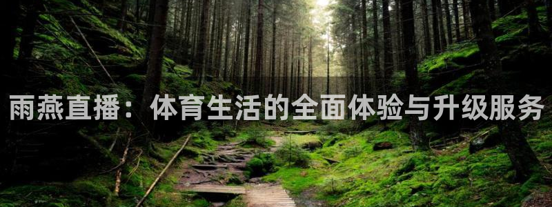 雨燕直播：体育生活的全面体验与升级服务