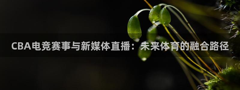 CBA电竞赛事与新媒体直播：未来体育的融合路径