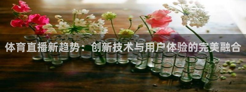 体育直播新趋势：创新技术与用户体验的完美融合
