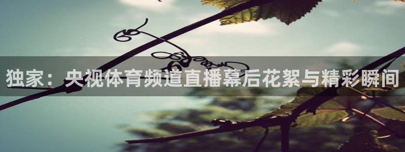 独家：央视体育频道直播幕后花絮与精彩瞬间